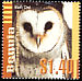 American Barn Owl Tyto furcata  2003 Birds of the Caribbean 