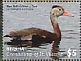 Black-bellied Whistling Duck Dendrocygna autumnalis  2018 Ducks of the Caribbean Sheet