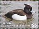 Tufted Duck Aythya fuligula