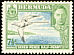 White-tailed Tropicbird Phaethon lepturus  1941 Definitives 