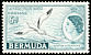 White-tailed Tropicbird Phaethon lepturus  1953 Inscription ROYAL VISIT 1953 on 1953.01 