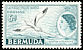 White-tailed Tropicbird Phaethon lepturus