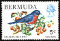Eastern Bluebird Sialia sialis  1978 Wildlife 