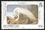 Great Egret Ardea alba  1985 Audubon 