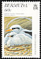 White-tailed Tropicbird Phaethon lepturus  1997 Bird conservation 