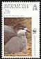 Bermuda Petrel Pterodroma cahow  2001 WWF 