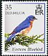 Eastern Bluebird Sialia sialis