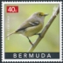 White-eyed Vireo Vireo griseus