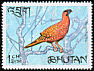 Satyr Tragopan Tragopan satyra  1968 Bhutan pheasants 