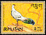 White Eared Pheasant Crossoptilon crossoptilon  1968 Bhutan pheasants 
