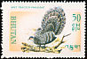Grey Peacock-Pheasant Polyplectron bicalcaratum  1968 Rare birds 