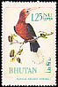 Rufous-necked Hornbill Aceros nipalensis  1968 Rare birds 