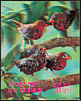 Red Avadavat Amandava amandava  1969 Birds 3-D stamps