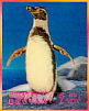 Humboldt Penguin Spheniscus humboldti  1969 Birds Sheet, 3-D stamps