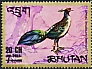 Kalij Pheasant Lophura leucomelanos