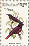 Maroon Oriole Oriolus traillii  1982 Birds  MS