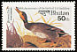 Mallard Anas platyrhynchos  1985 Audubon 
