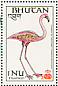 American Flamingo Phoenicopterus ruber  1987 Columbus  MS