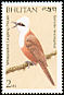 White-crested Laughingthrush Garrulax leucolophus  1989 Birds 