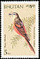 Rosy Minivet Pericrocotus roseus  1989 Birds 