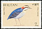 Blue Pitta Hydrornis cyaneus  1989 Birds 