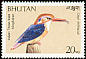 Oriental Dwarf Kingfisher Ceyx erithaca  1989 Birds 