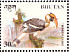 Great Hornbill Buceros bicornis  1998 Birds Sheet