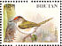 Common Tailorbird Orthotomus sutorius  1998 Birds Sheet