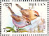 White-browed Tit-warbler Leptopoecile sophiae  1998 Birds Sheet