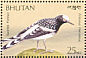 Spotted Forktail Enicurus maculatus  1989 Birds  MS MS