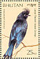 Greater Racket-tailed Drongo Dicrurus paradiseus  1989 Birds  MS MS MS MS MS MS MS