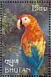 Scarlet Macaw Ara macao  1999 Birds of the world Sheet