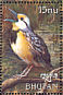 Eastern Meadowlark Sturnella magna  1999 Birds of the world Sheet