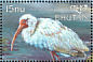 American White Ibis Eudocimus albus  1999 Birds of the world Sheet