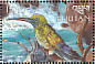 Copper-rumped Hummingbird Saucerottia tobaci  1999 Birds of the world Sheet