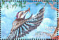 Cuban Green Woodpecker Xiphidiopicus percussus  1999 Birds of the world Sheet