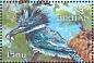 Belted Kingfisher Megaceryle alcyon  1999 Birds of the world Sheet