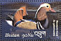 Mandarin Duck Aix galericulata  2002 Birds of Bhutan  MS