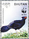 Kalij Pheasant Lophura leucomelanos  2003 WWF Sheet