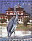 White-bellied Heron Ardea insignis  2014 Flora and fauna of Bhutan  MS