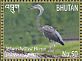 White-bellied Heron Ardea insignis  2015 Conservation Sheet