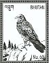 Northern Raven Corvus corax  2016 Flora and fauna of Bhutan  MS