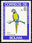 Blue-and-yellow Macaw Ara ararauna  1981 Macaws 