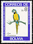 Blue-and-yellow Macaw Ara ararauna