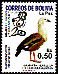 Orinoco Goose Neochen jubata  2002 Birds - La Paz 