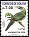 Blue-banded Toucanet Aulacorhynchus coeruleicinctis  2005 Birds 