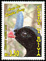 Horned Curassow Pauxi unicornis  2006 Birds of Pando and Santa Cruz 