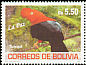 Andean Cock-of-the-rock Rupicola peruvianus