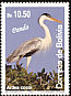 Cocoi Heron Ardea cocoi  2007 Birds of Pando 