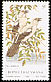 Southern Pied Babbler Turdoides bicolor  1980 Birds 